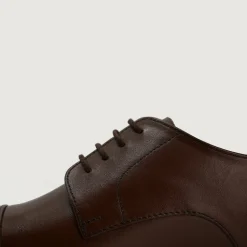 Attorney Derby Brown Leather Shoes