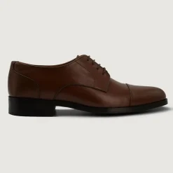 Attorney Derby Brown Leather Shoes