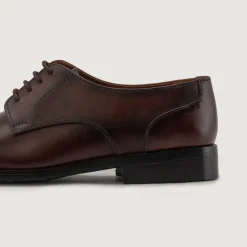 Attorney Derby Burnished Brown Leather Shoes