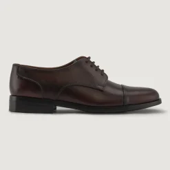 Attorney Derby Burnished Brown Leather Shoes