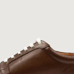 Carter Runn Brown Leather Sneakers