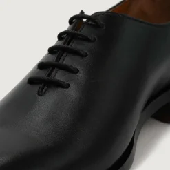Director Wholecut Black Leather Shoes