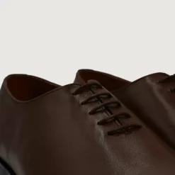 Director Wholecut Brown Leather Shoes