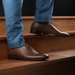 Director Wholecut Brown Leather Shoes