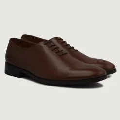Director Wholecut Brown Leather Shoes