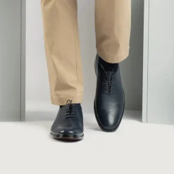 Director Wholecut Midnight Blue Leather Shoes