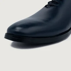 Director Wholecut Midnight Blue Leather Shoes