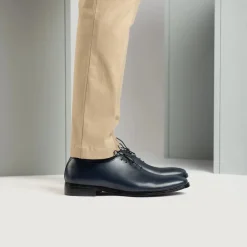 Director Wholecut Midnight Blue Leather Shoes
