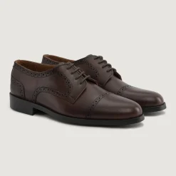 Dirk Brogues Derby Brown Leather Shoes - StudGuard
