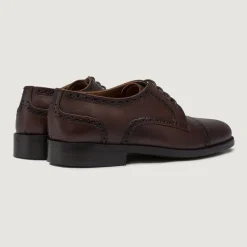 Dirk Brogues Derby Brown Leather Shoes - StudGuard