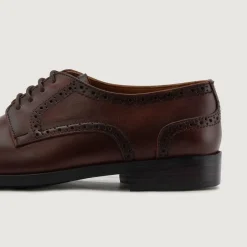 Dirk Brogues Derby Brown Leather Shoes - StudGuard