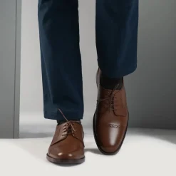 Dirk Brogues Derby Brown Leather Shoes