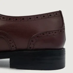 Dirk Brogues Derby Maroon Leather Shoes