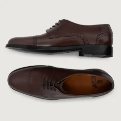 Dirk Brogues Derby Maroon Leather Shoes