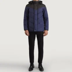 Luka Black & Blue Hooded Puffer Jacket